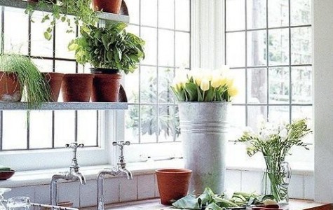 Cửa sổ kết hợp kệ mở tiết kiệm không gian cho nhà nhỏ